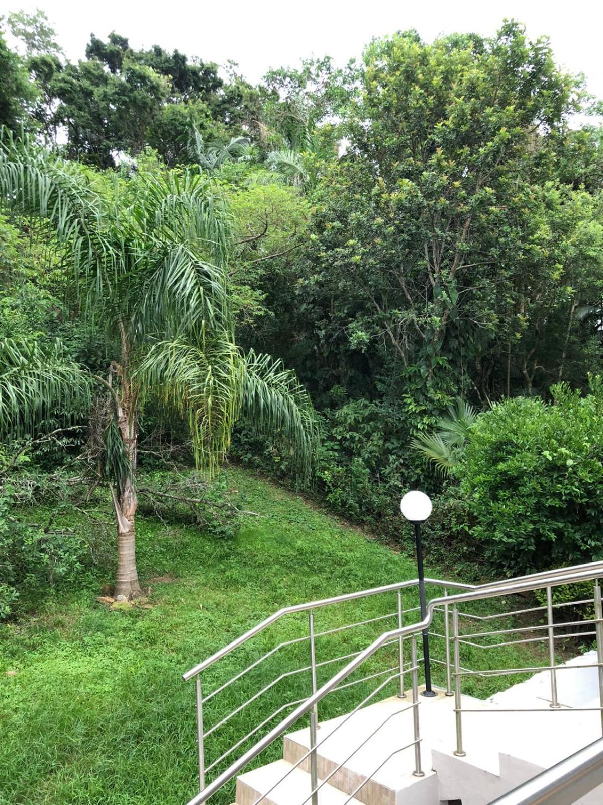Casa Figueira Na Pedra Hotel Florianópolis Екстериор снимка